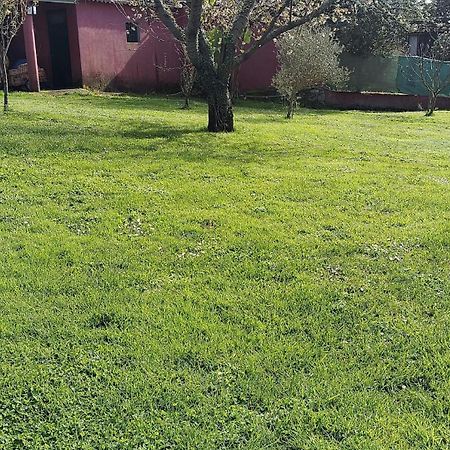 Alojamiento Entero Con Piscina Y Jardin. Ourense Eksteriør bilde