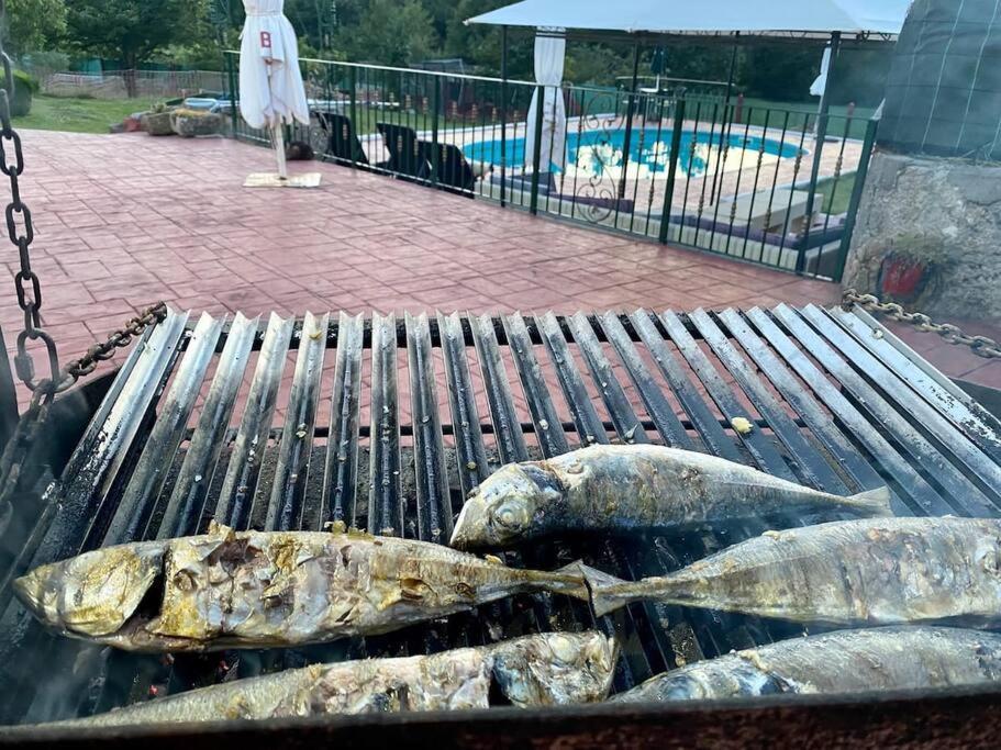 Alojamiento Entero Con Piscina Y Jardin. Ourense Eksteriør bilde