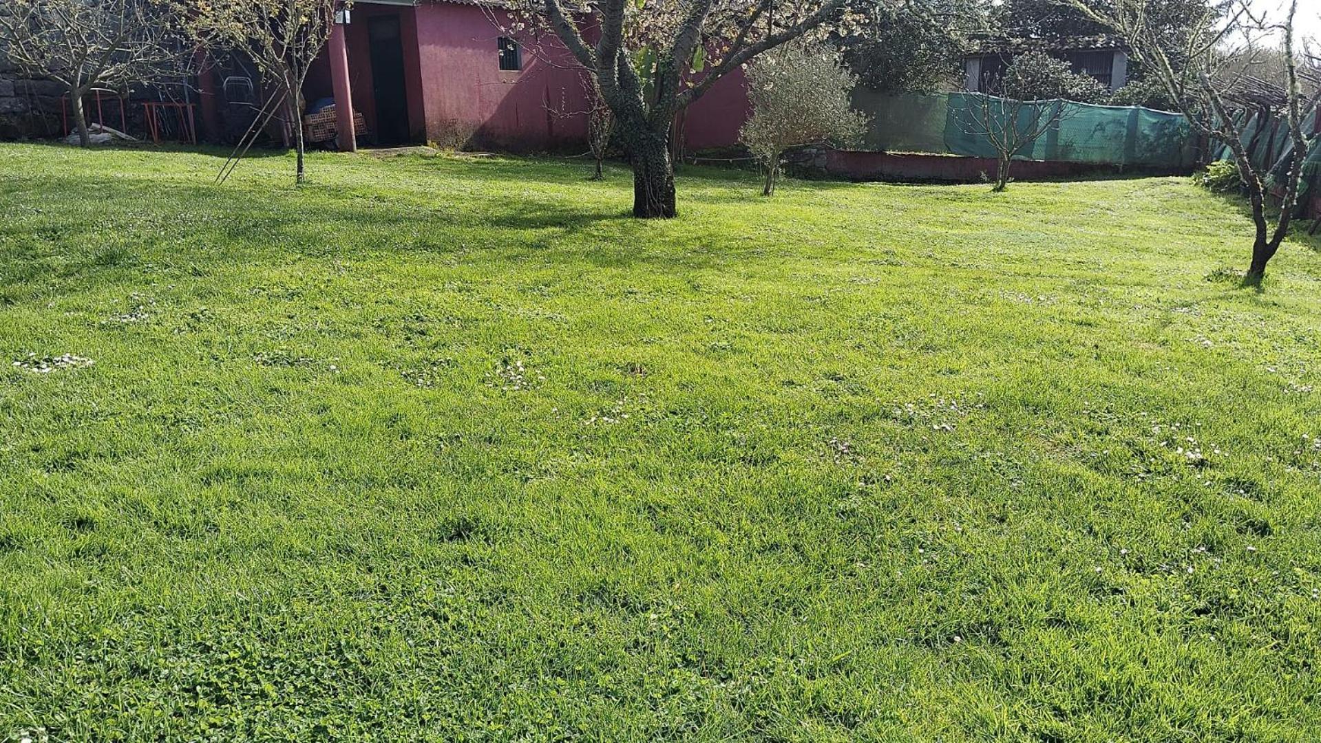 Alojamiento Entero Con Piscina Y Jardin. Ourense Eksteriør bilde